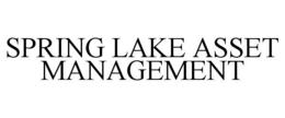 SPRING LAKE ASSET MANAGEMENT trademark