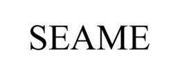 SEAME trademark