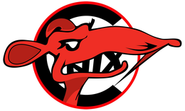 C NIX trademark