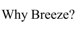 WHY BREEZE? trademark