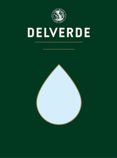 DELVERDE PURE WATER PURE TASTE trademark