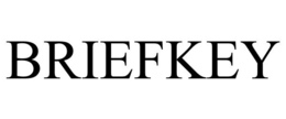 BRIEFKEY trademark