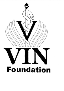 V VIN FOUNDATION trademark