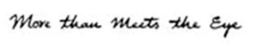 MORE THAN MEETS THE EYE trademark