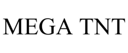 MEGA TNT trademark