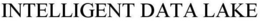 INTELLIGENT DATA LAKE trademark