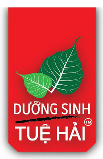 DUONG SINH TUE HAI trademark