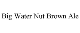 BIG WATER NUT BROWN ALE trademark
