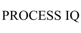 PROCESS IQ trademark