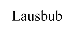 LAUSBUB trademark