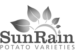 SUNRAIN POTATO VARIETIES trademark