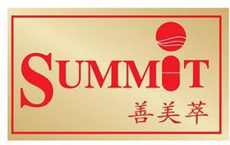 SUMMIT trademark