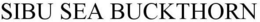 SIBU SEA BUCKTHORN trademark