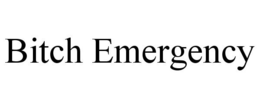 BITCH EMERGENCY trademark
