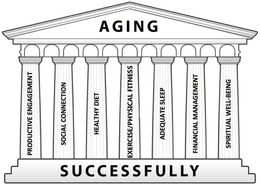 PRODUCTIVE ENGAGEMENT SOCIAL CONNECTIONHEALTHY DIET EXERCISE/PHYSICAL FITNESS ADEQUATE SLEEP FINANCIAL MANAGEMENT SPIRITUAL WELL-BEING trademark