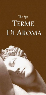 THE SPA TERME DI AROMA trademark