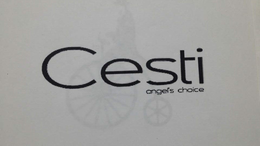 CESTI ANGEL'S CHOICE trademark