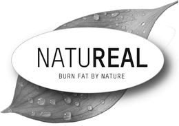 NATUREAL BURN FAT BY NATURE trademark