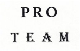 PRO TEAM trademark