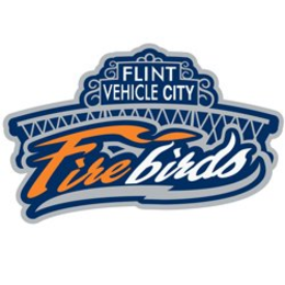 FLINT VEHICLE CITY FIREBIRDS trademark