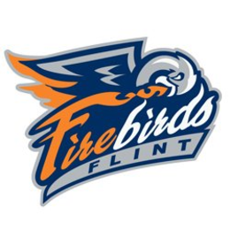 FIREBIRDS FLINT trademark