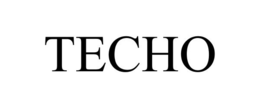 TECHO trademark