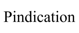 PINDICATION trademark