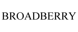 BROADBERRY trademark