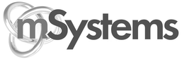 MSYSTEMS trademark