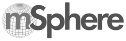 MSPHERE trademark