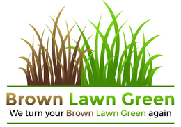 BROWN LAWN GREEN WE TURN YOUR BROWN LAWN GREEN AGAIN trademark