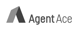V AGENT ACE trademark