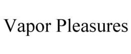 VAPOR PLEASURES trademark