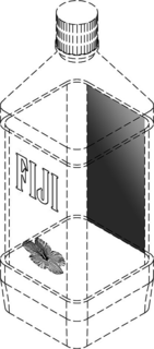 FIJI trademark