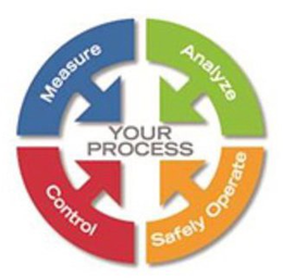 MEASURE ANALYZE SAFELY OPERATE CONTROL YOUR PROCESS trademark