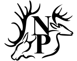 N P trademark