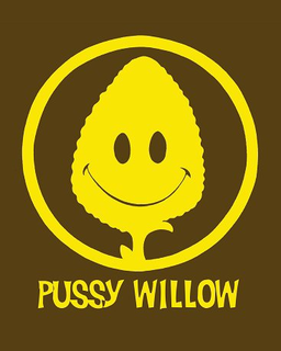PUSSY WILLOW trademark