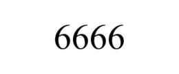 6666 trademark