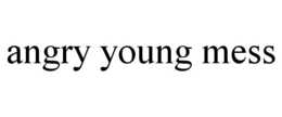 ANGRY YOUNG MESS trademark