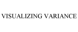VISUALIZING VARIANCE trademark