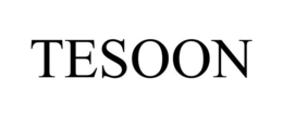 TESOON trademark
