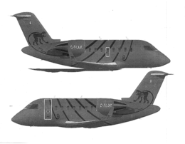 FLYING MONKEY C-FLMK trademark