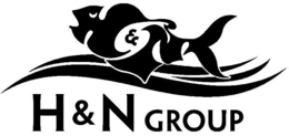H & N GROUP trademark