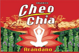 ORGANICO CHEO CHIA ARÁNDANO trademark