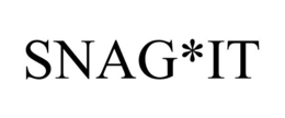 SNAG*IT trademark