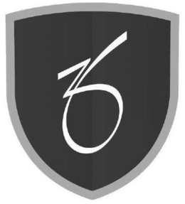 ZO trademark