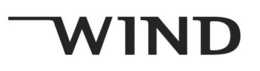 WIND trademark