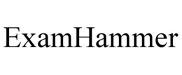 EXAMHAMMER trademark