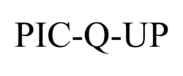 PIC-Q-UP trademark