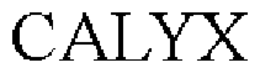 CALYX trademark
